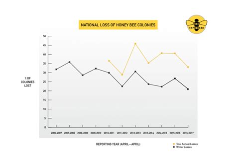 What percentage of bees are gone?